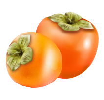 Persimmon